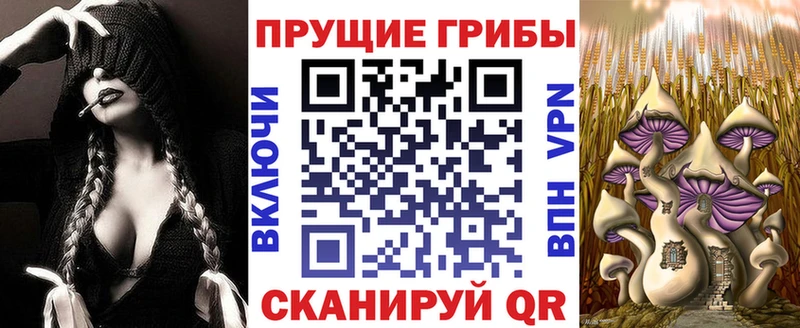 где купить наркоту  Дегтярск  Псилоцибиновые грибы MAGIC MUSHROOMS 